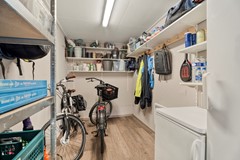 Waterhoen 8, Bunschoten spakenburg-27.jpg